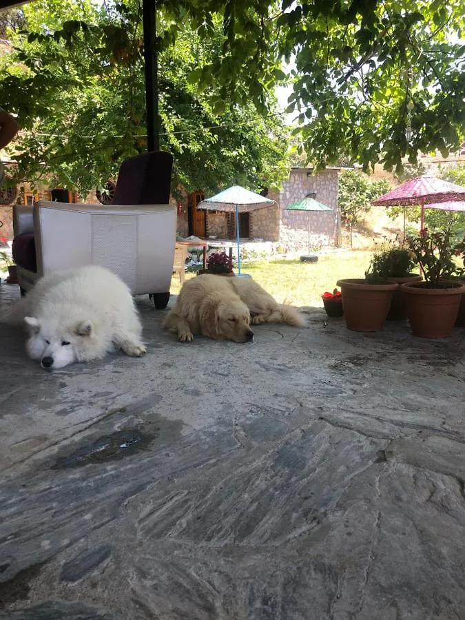 Zirkon Doga Butik Otel Fethiye Bed & Breakfast