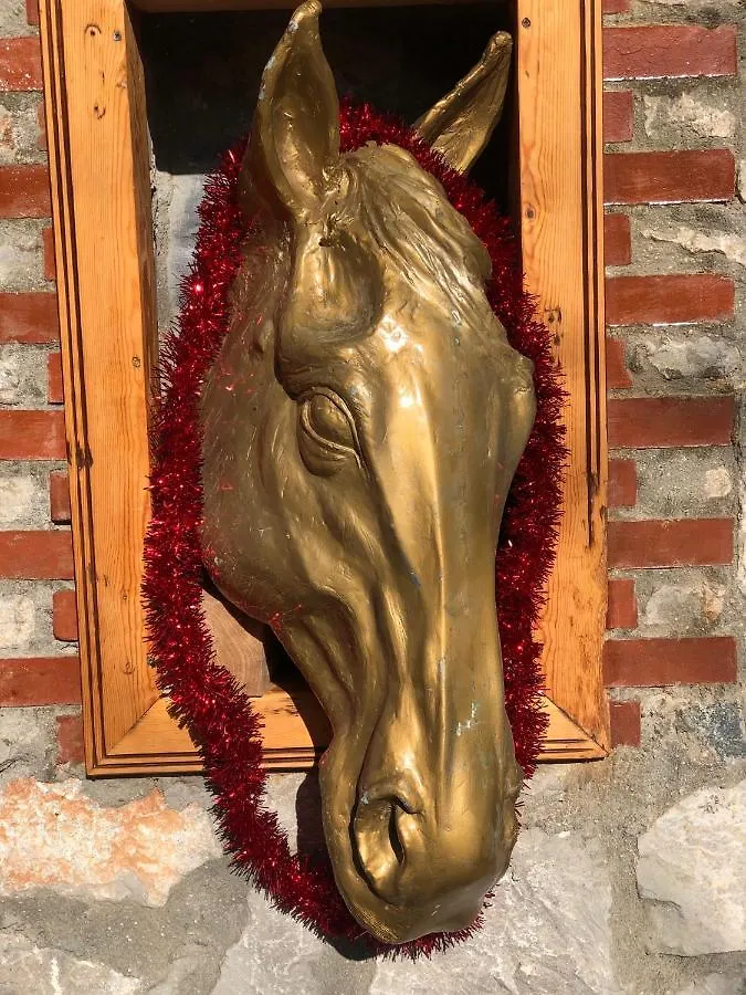 Zirkon Doga Butik Otel Fethiye Turkey