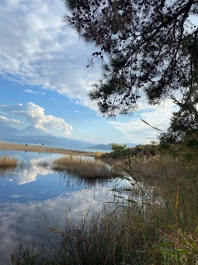 Zirkon Doğa Butik Otel Fethiye 0*,